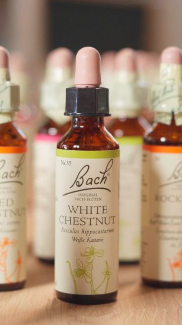 🌸 Spürst du die berührende Kraft der Pflanzenwelt?

Möchtest du lernen, wie du die „Apotheke der Natur“ zur ganzheitlichen Unterstützung im Alltag nutzen kannst?

Blütenessenzen wirken sanft, tiefgreifend und fördern das seelische, geistige und körperliche Gleichgewicht. Sie laden uns ein zu einem bewussteren Umgang mit uns selbst und eröffnen einen Weg zu nachhaltiger Heilung – direkt an der Wurzel innerer Disharmonien.

In den letzten Jahren hat die Popularität dieser natürlichen Heilmethoden stark zugenommen. Doch vielen fehlt ein fundiertes Verständnis über Wirkweise, Anwendung und therapeutische Tiefe der verschiedenen Essenzen.

🌸 Worum geht es im Grundkurs?

In diesem Grundkurs vermittelt Katarina Michel, erfahrene Dozentin und Anwenderin von Blütenessenzen seit über 30 Jahren, ein solides Fundament für die Arbeit mit Bach-Blüten und anderen internationalen Essenzen (z. B. australische, kalifornische, hawaiianische). Der Kurs richtet sich sowohl an interessierte Laien als auch an Menschen in heilenden oder beratenden Berufen.

🌸 Weitere Infos findest du im Link in der Bio!
